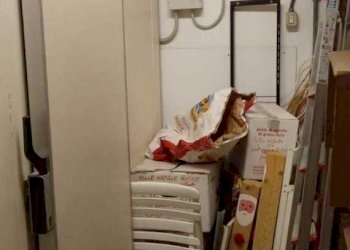 IMG-20240426-WA0014.jpg - Alimentari - Gastronomia Via Antonio Gramsci, Lucca - foto 4