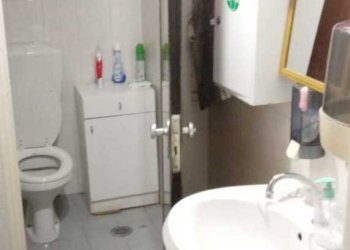 IMG-20240426-WA0016.jpg - Alimentari - Gastronomia Via Antonio Gramsci, Lucca - foto 5