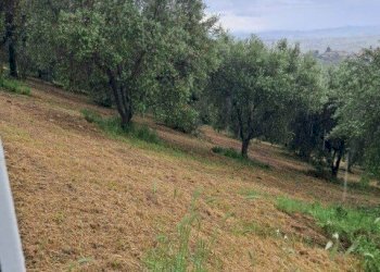 06 COLONNELLA - TERRENO CON VISTA PANORAMICA.jpg - Terreno edificabile Colonnella - foto 9