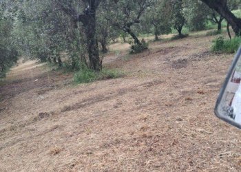 10 COLONNELLA - TERRENO CON VISTA PANORAMICA.jpg - Terreno edificabile Colonnella - foto 11