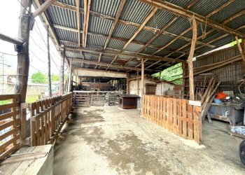 WhatsApp Image 2024-05-24 at 19.06.22 (13).jpeg - Terratetto - Terracielo VIA PARROCCHIA  45, Grosso - foto 28