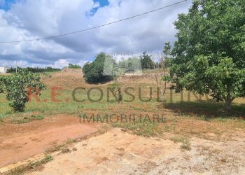 20240527_112538.jpg - Baita Via Scattapignata 17, Martina Franca - photo 6