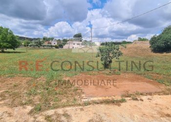 20240527_112541.jpg - Baita Via Scattapignata 17, Martina Franca - photo 7