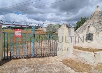 20240527_114423.jpg - Baita Via Scattapignata 17, Martina Franca - photo 23