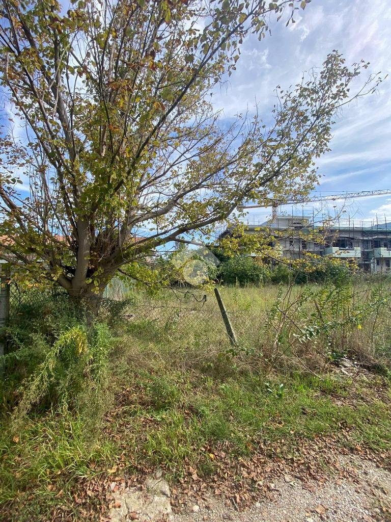 Terreno edificabile Via Trasimeno, Cervia - foto 3