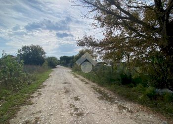 Terreno edificabile Via Trasimeno, Cervia - foto 4