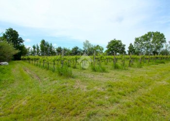 Independent house Via Balduina, Rio Saliceto - photo 26