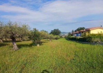 Terreno edificabile Viale Colli, Rosciano - foto 1