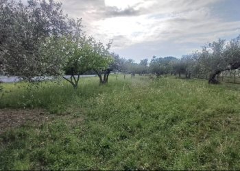 Terreno edificabile Viale Colli, Rosciano - foto 4