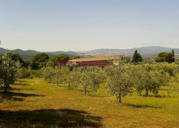 Rustico Roccastrada - foto 4