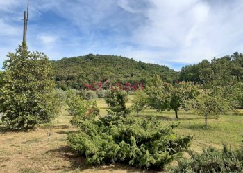 Rustico Roccastrada - foto 12