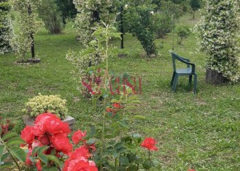 Rustico Roccastrada - foto 13