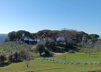 Rustico Roccastrada - foto 14