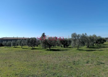 Rustico Roccastrada - foto 16