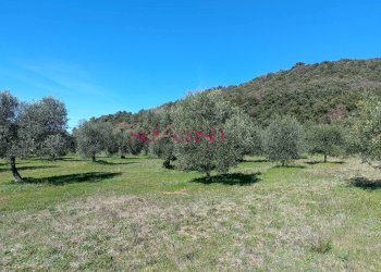 Rustico Roccastrada - foto 17