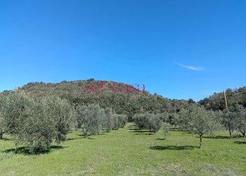 Rustico Roccastrada - foto 18