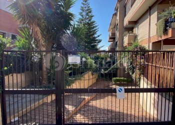 IMG_0030.jpg - Box VIA PEGASO 2, Anzio - foto 2