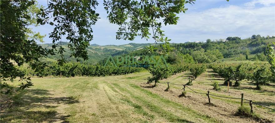 FOTO 1.jpg - Farm via Garibaldi, Roncofreddo - photo 1