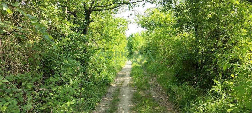 FOTO 2.jpg - Farm via Garibaldi, Roncofreddo - photo 2