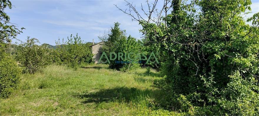 FOTO 3.jpg - Farm via Garibaldi, Roncofreddo - photo 3