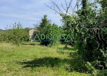 FOTO 3.jpg - Azienda agricola via Garibaldi, Roncofreddo - foto 3