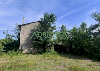 FOTO 4.jpg - Azienda agricola via Garibaldi, Roncofreddo - foto 4