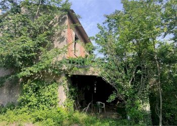 FOTO 5.jpg - Azienda agricola via Garibaldi, Roncofreddo - foto 5