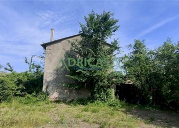 FOTO 7.jpg - Azienda agricola via Garibaldi, Roncofreddo - foto 7