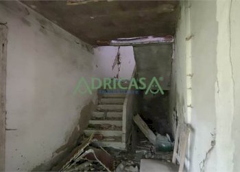 FOTO 8.jpg - Azienda agricola via Garibaldi, Roncofreddo - foto 8