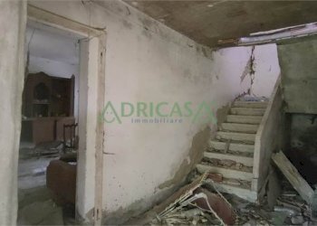 FOTO 9.jpg - Azienda agricola via Garibaldi, Roncofreddo - foto 9