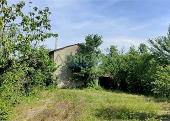 FOTO 11.jpg - Azienda agricola via Garibaldi, Roncofreddo - foto 11