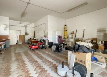 Interno - Locale Commerciale Pineto - foto 4