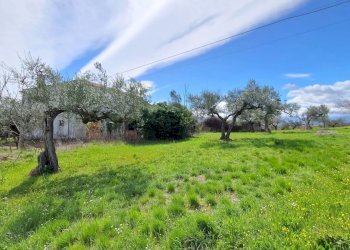 Casa indipendente Pianella - foto 1