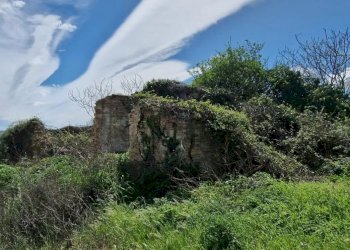 Casa indipendente Pianella - foto 2