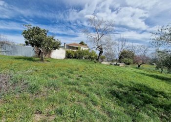 Casa indipendente Pianella - foto 6