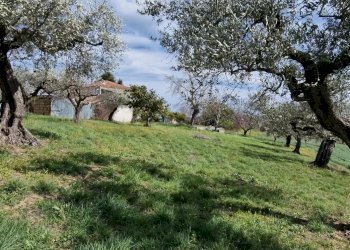 Casa indipendente Pianella - foto 12