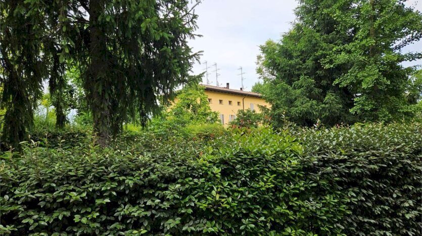 Rustic Modena - photo 2