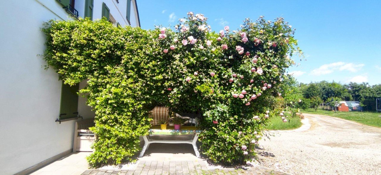 Villa Reggio nell'Emilia - photo 3