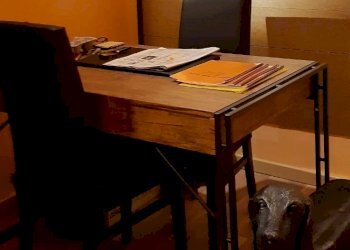 Shop Reggio nell'Emilia - photo 6