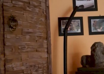 Shop Reggio nell'Emilia - photo 9