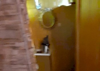 Shop Reggio nell'Emilia - photo 10