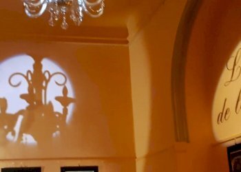 Shop Reggio nell'Emilia - photo 11