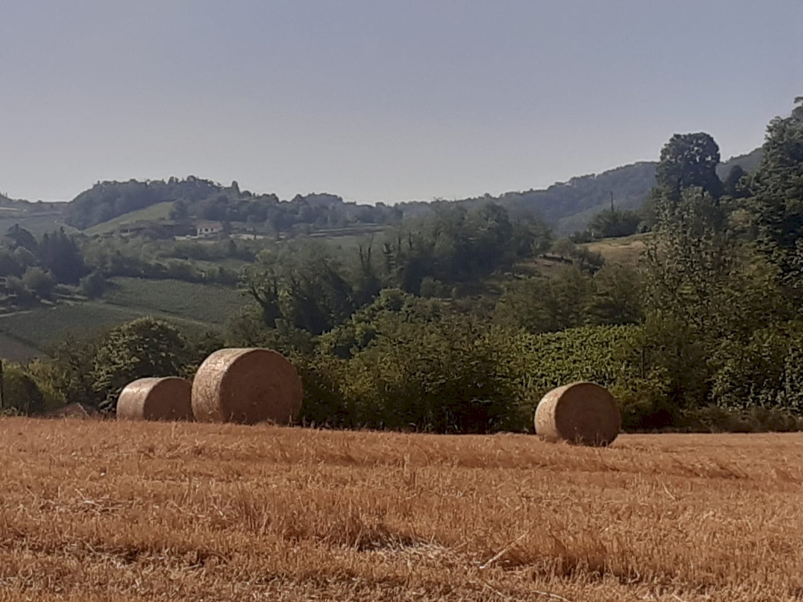 Terreno residenziale Casteggio - foto 2