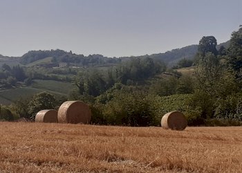 Terreno residenziale Casteggio - foto 2