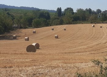 Terreno residenziale Casteggio - foto 3