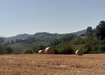 Terreno residenziale Casteggio - foto 4
