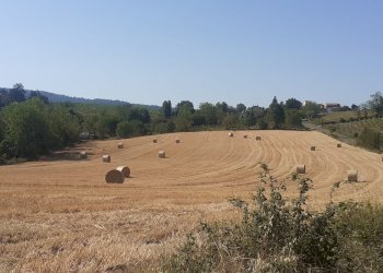 Terreno residenziale Casteggio - foto 5