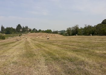 Terreno residenziale Casteggio - foto 6
