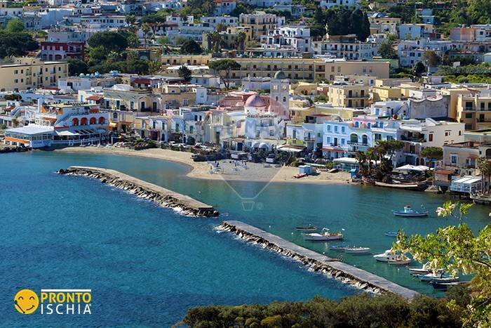 Trilocale Lacco Ameno - foto 3