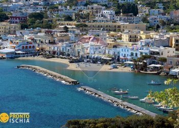 Trilocale Lacco Ameno - foto 3